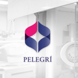 Web Pelegri