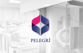 Web Pelegri