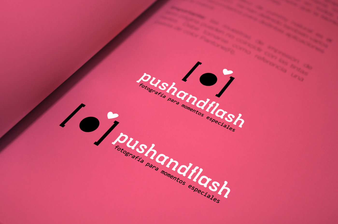 logo-push-and-flash-color-corporativo